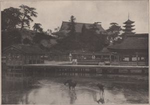 TEMPLES ON THE SACRED ISLAND OF MIYAJIMA